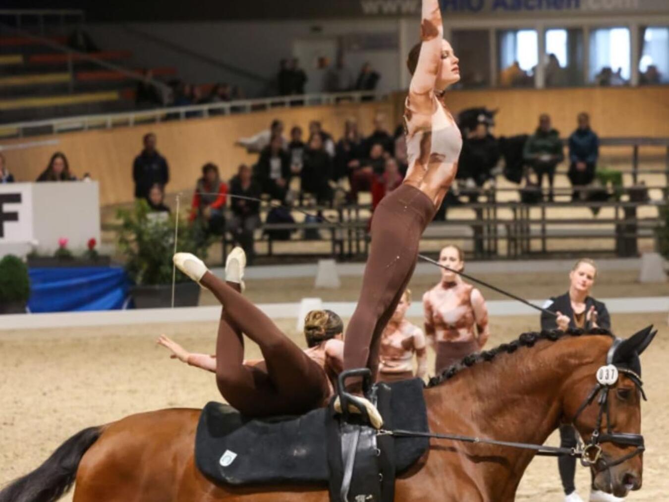 In Aachen trafen sich die besten M-Gruppen aus ganz Deutschland. Foto: Verein für Voltigiersport