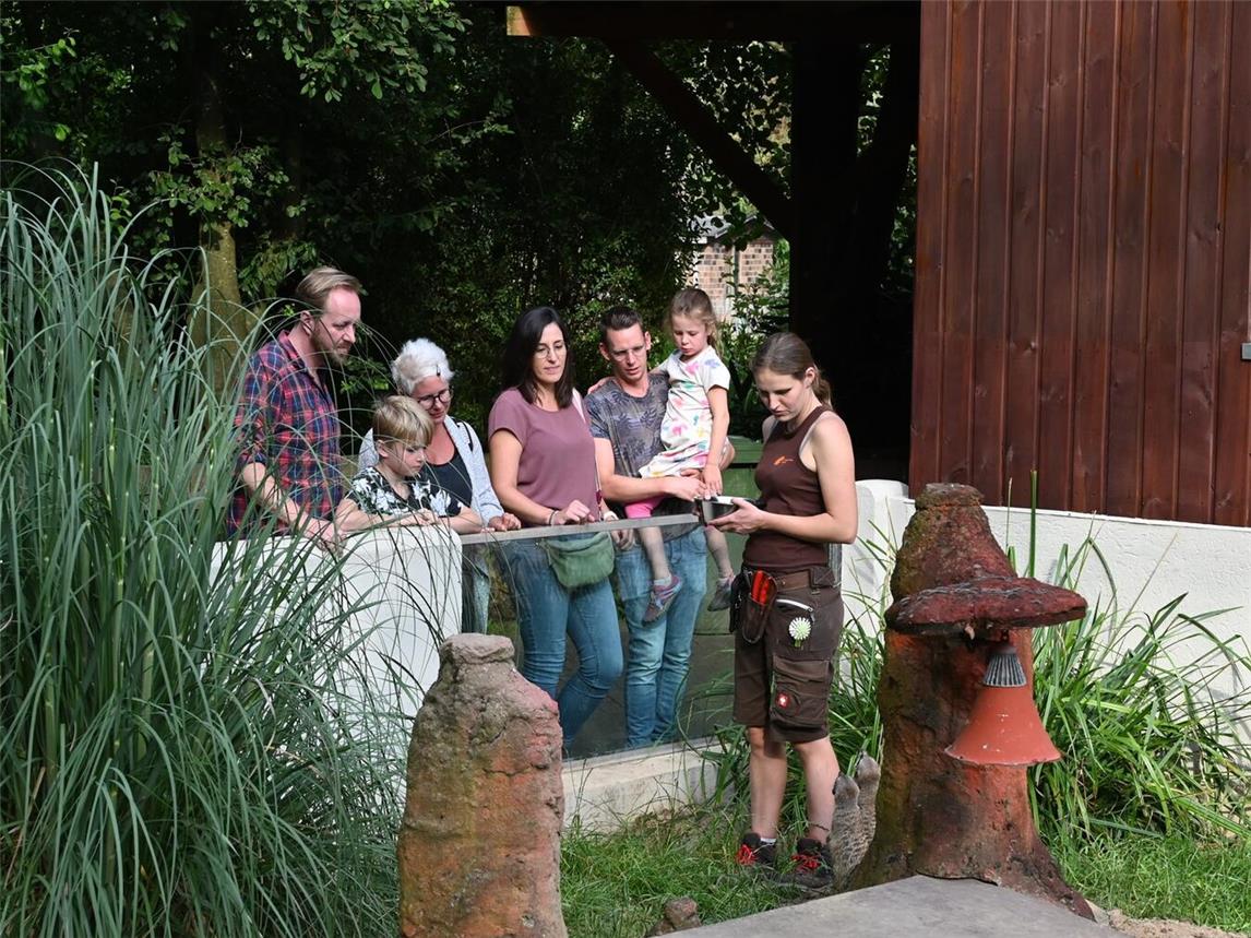 In den Ferien werden dreimal täglich Schaufütterungen angeboten. Foto: Tiergarten Kleve