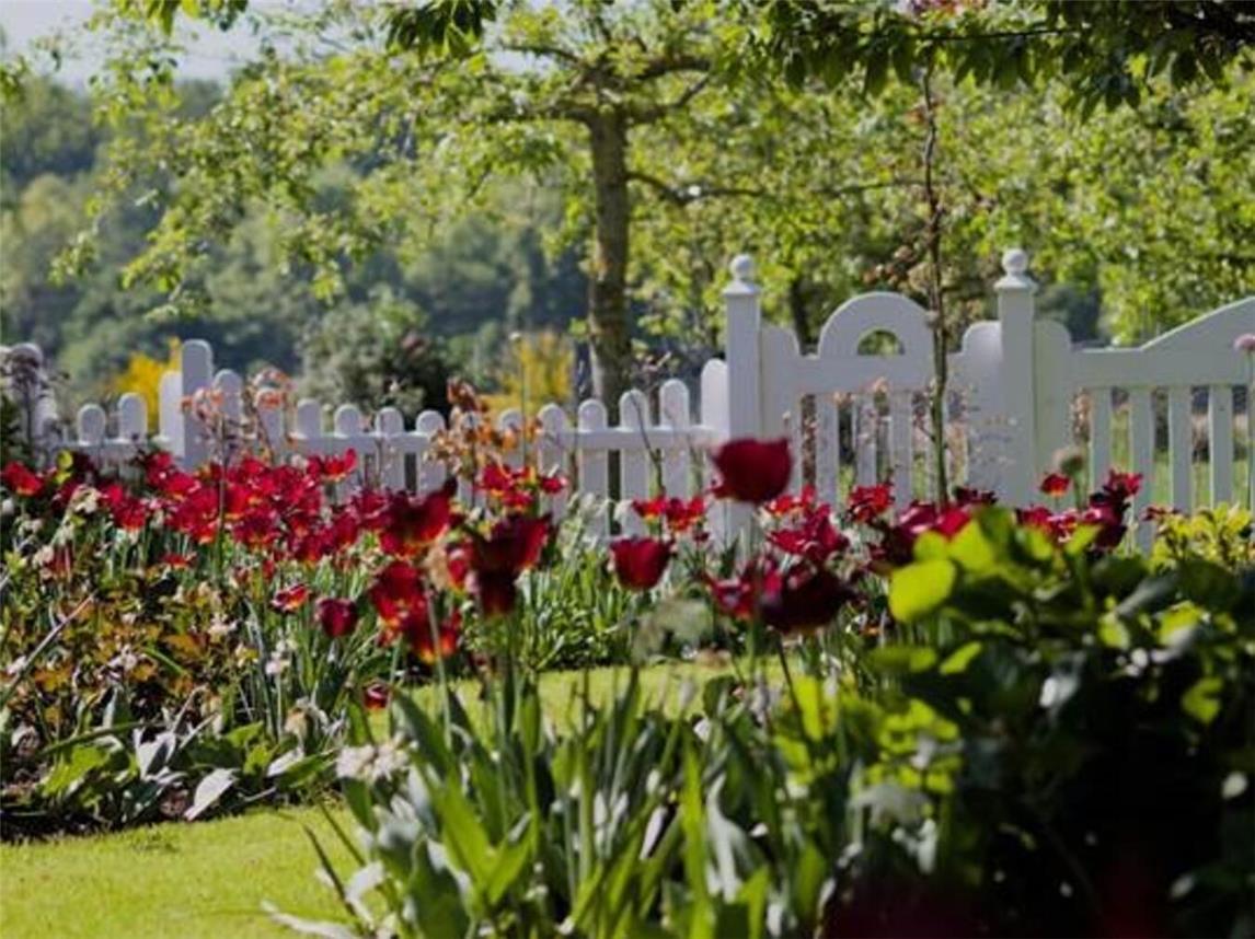 In den offenen Gärten gibt es am Wochenende viel zu entdecken. Foto: privat