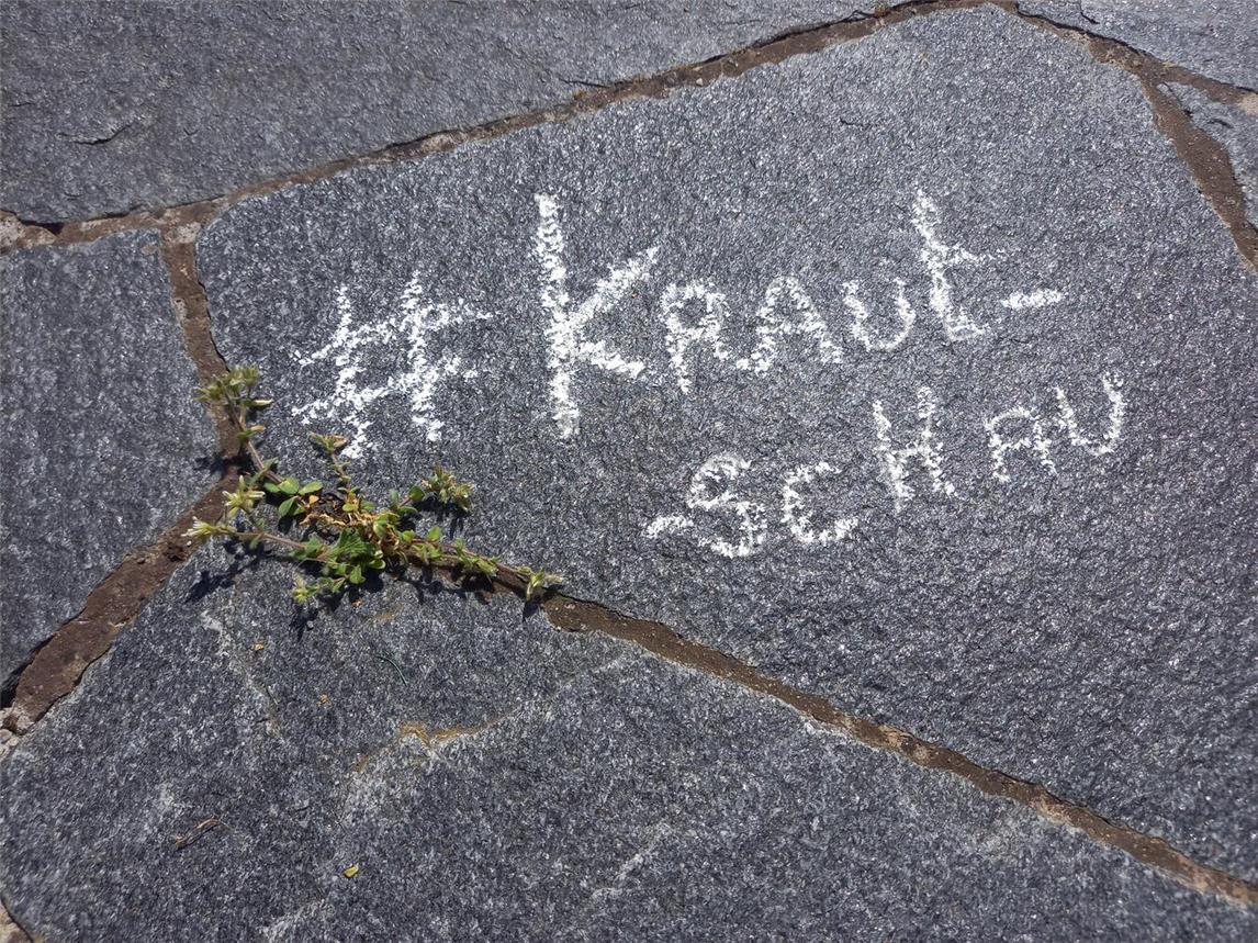 In der Aktionswoche markieren Teilnehmer Pflanzen mit bunter Kreide, fotografieren sie und teilen ihre Entdeckungen in sozialen Netzwerken. Foto: Wallfahrtsstadt Kevelaer