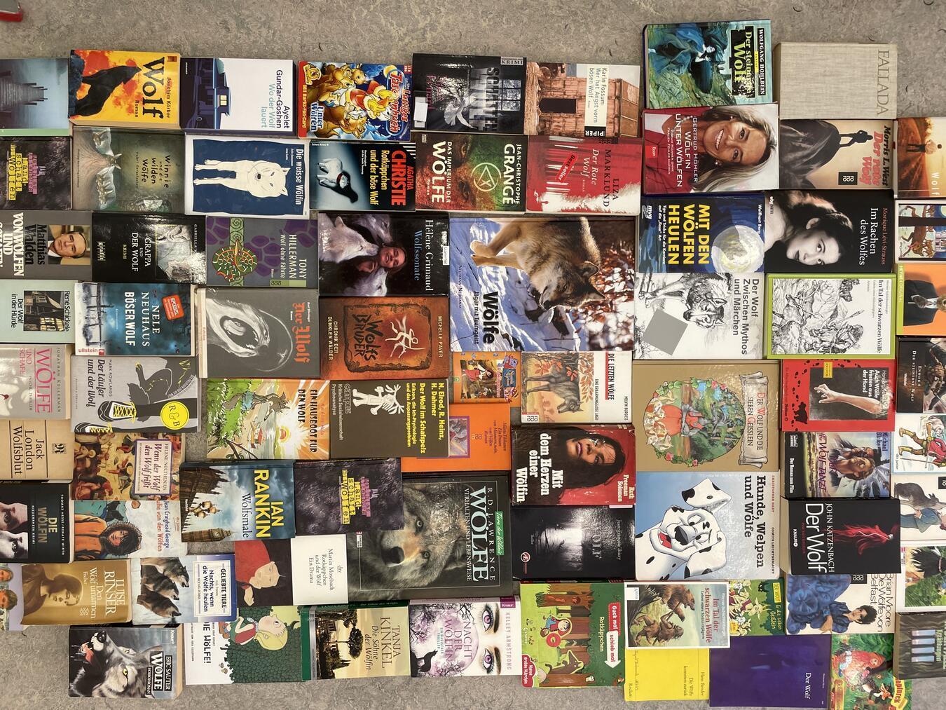 In der Galerie studio20.21 sind noch eine Menge Wolfsbücher zu sehen. Foto: Stadt Kalkar