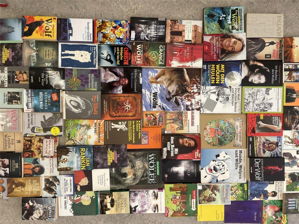 In der Galerie studio20.21 sind noch eine Menge Wolfsbücher zu sehen. Foto: Stadt Kalkar
