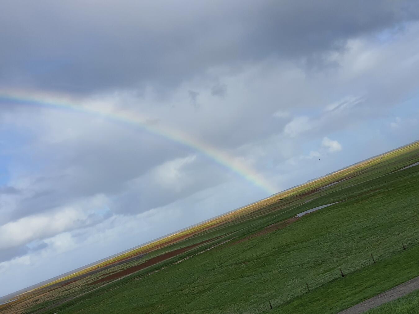 In der wilden Natur Frieslands steckt viel Schönheit. 