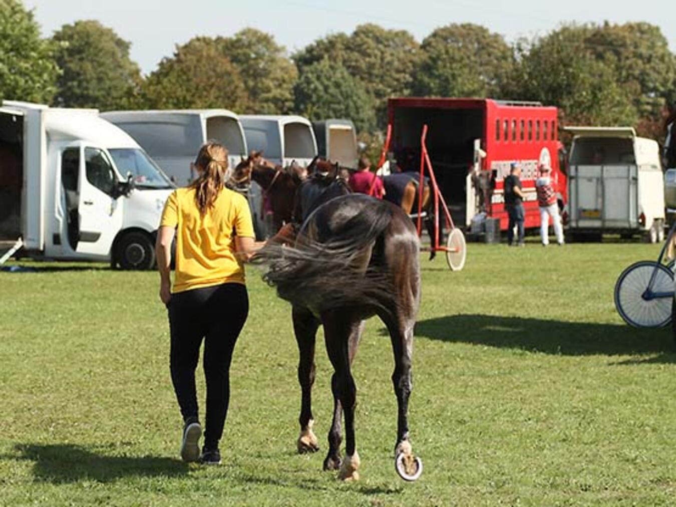 In diesem Jahr fällt der Renntag aus. Foto: Trabrennverein Heisterfeldshof
