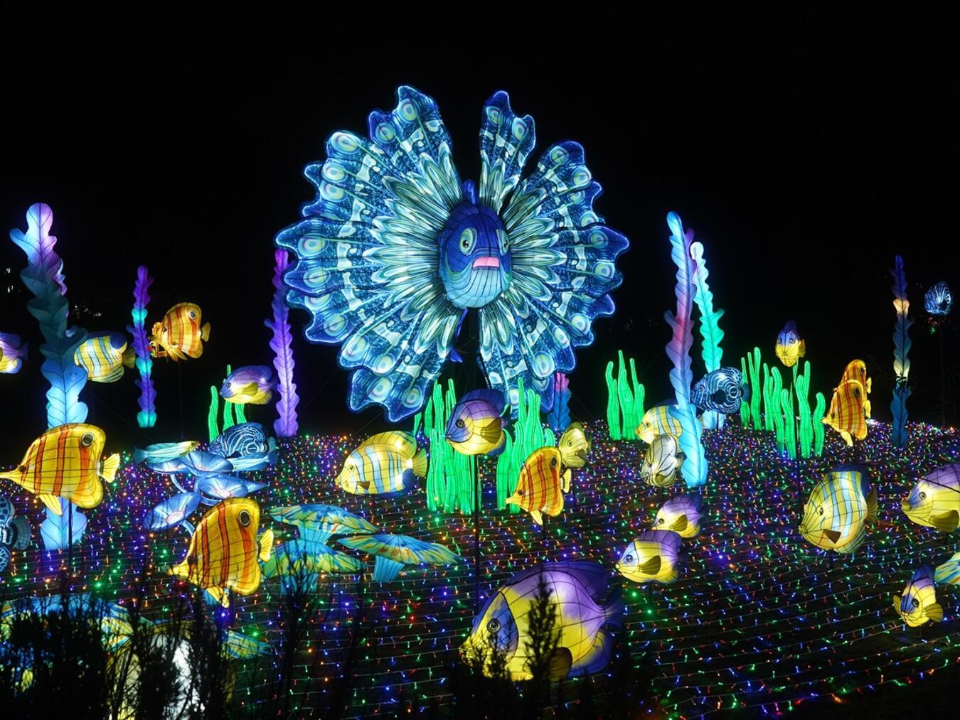 In einer völlig neuen Ausstellung verzaubern die China Lights in diesem Jahr. Foto: Tiergarten Kleve