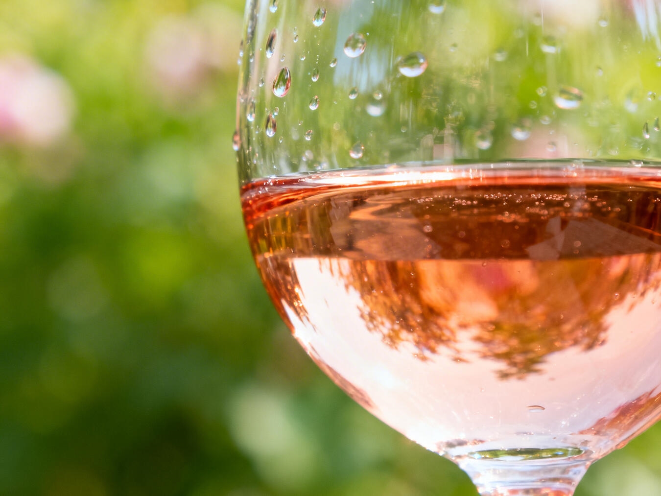 "Weinfest in der Stadt: Menschen stoßen mit Wein an, sommerliche Atmosphäre, Freunde genießen zusammen"
