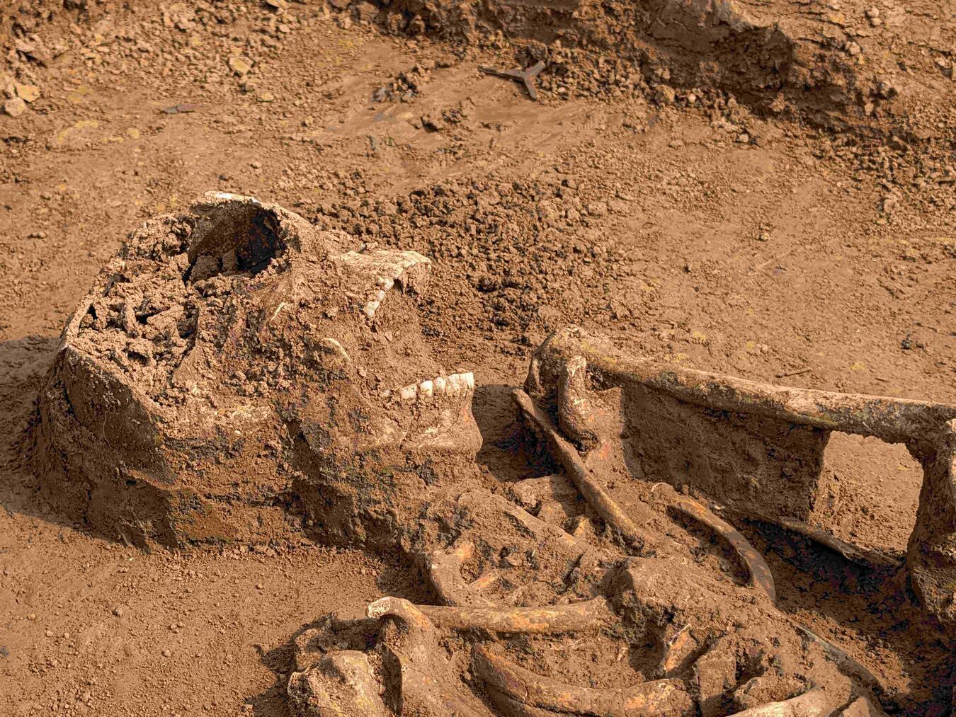 Rees: Archäologische Funde am Rhein In flachen Grabgruben wurden die jungen Männer vermutlich um 1758 bestattet. Foto: privat