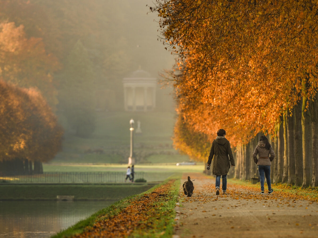 "Herbstlicher Ausblick in Kleve: Bunte Wälder und Naturpfade, ideal für Wanderungen und Ausflüge im Herbst."