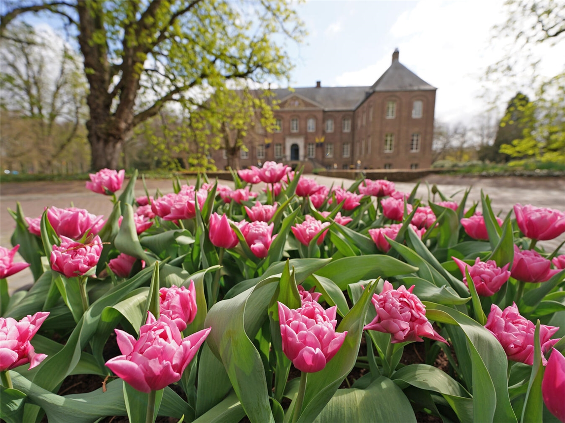 "Historisches Schloss im Frühling mit blühenden Gärten, Foto von Jo Daniels"