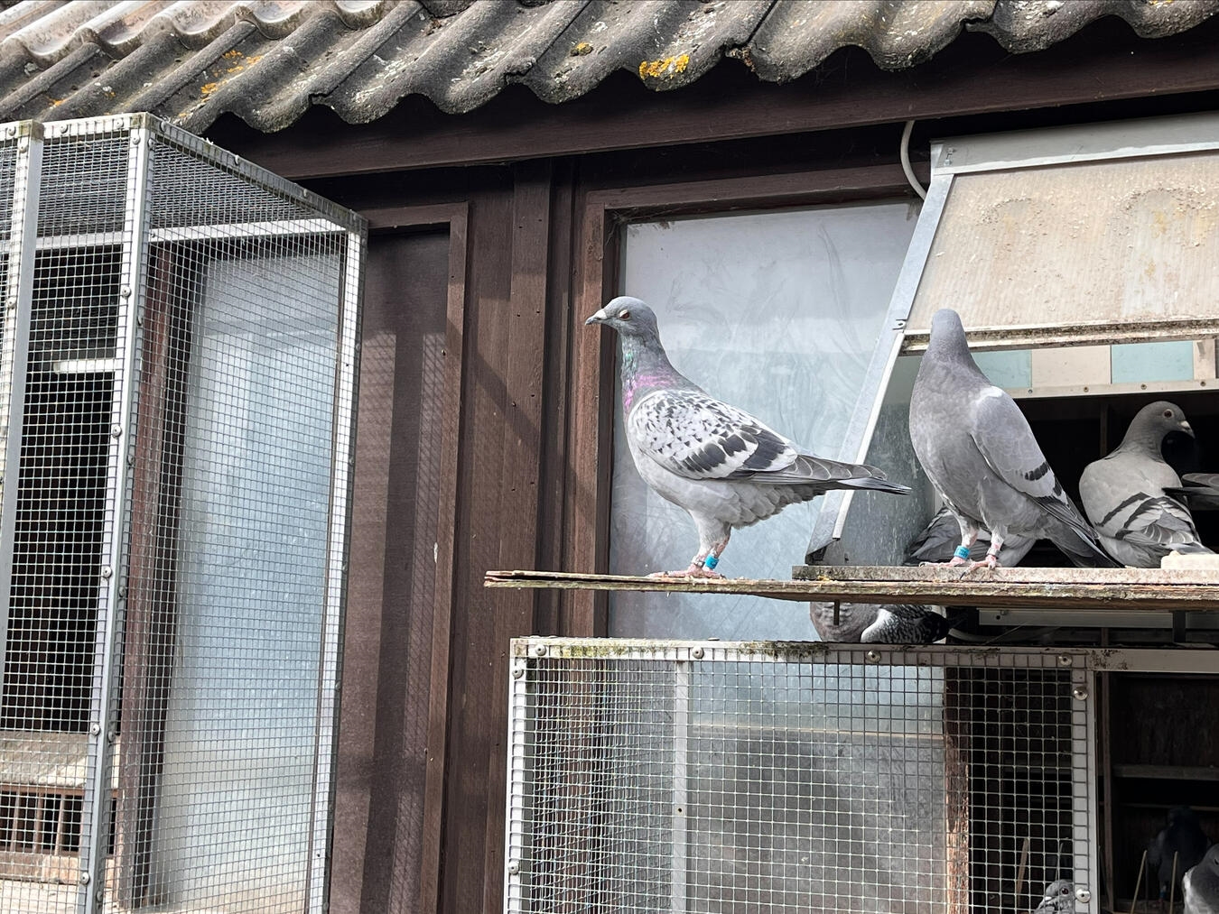 "14 Preisflüge, spannende Ergebnisse, aufgenommen von Marc Andre"