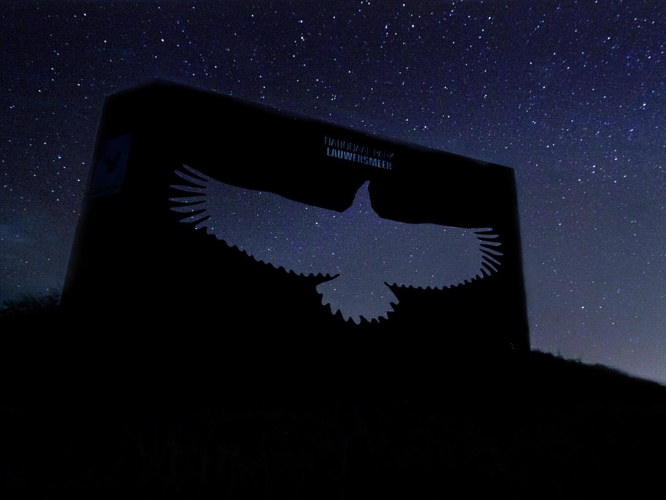 Ist das Firmament frei von Wolken, hat man nachts im Dark Sky Park eine ungetrübte Sicht auf die Sterne. Foto: Marcel van Kammen