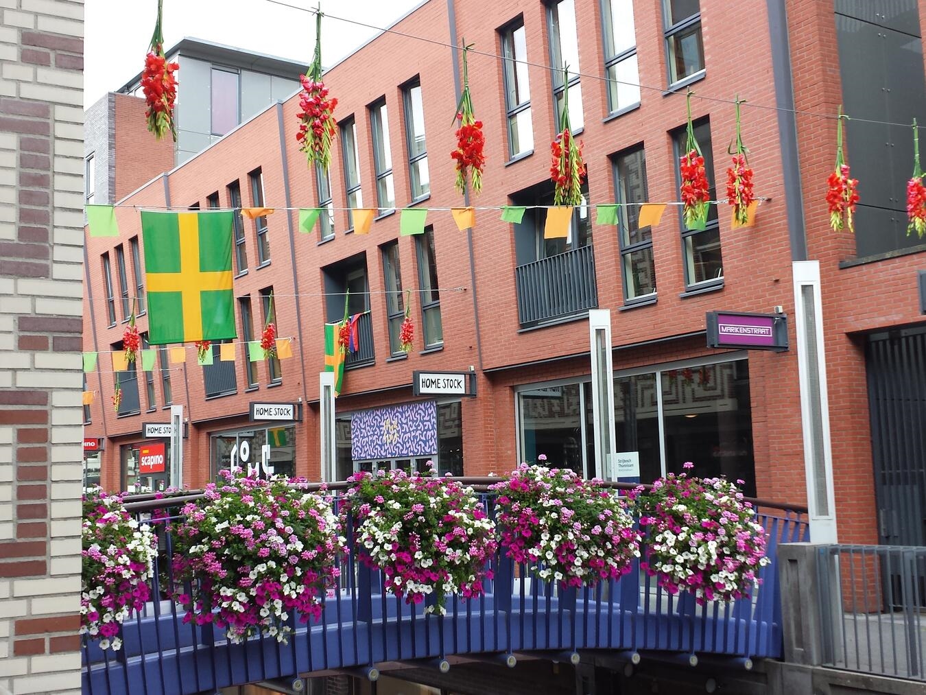 „Typisch Niederländisch“: Die letzten Fotohighlights aus dem Nachbarland "Blumenparadies in Nijmegen: Bunte Stadtblumen vor urbanem Hintergrund, Natur in der Stadt erleben"