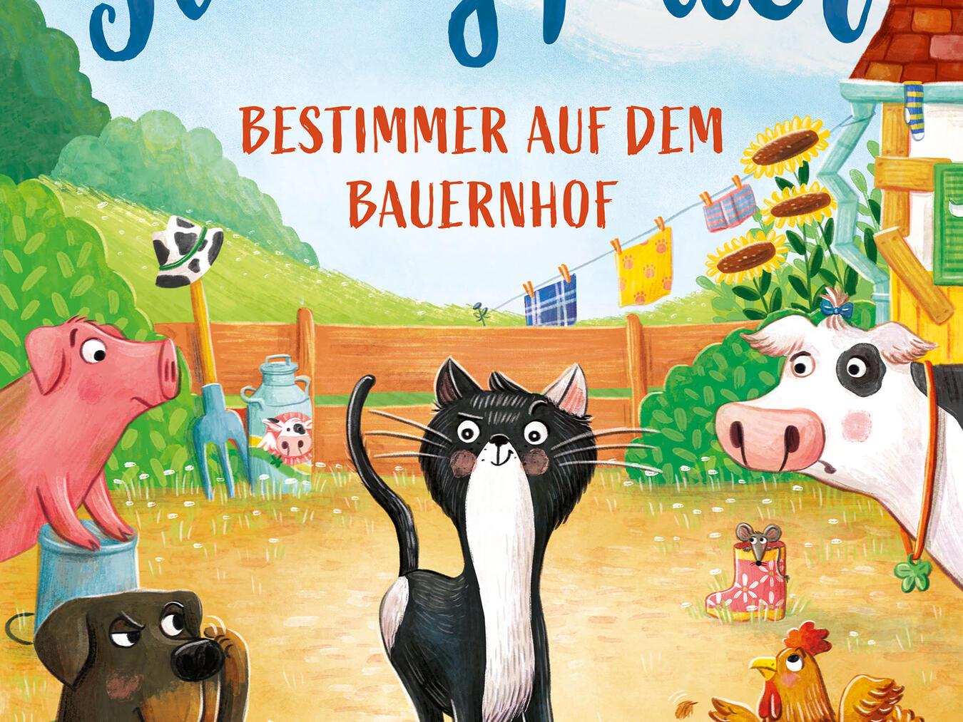 Kater Jimmy weiß immer, wo es langgeht oder etwa doch nicht?Foto: Magellan Verlag