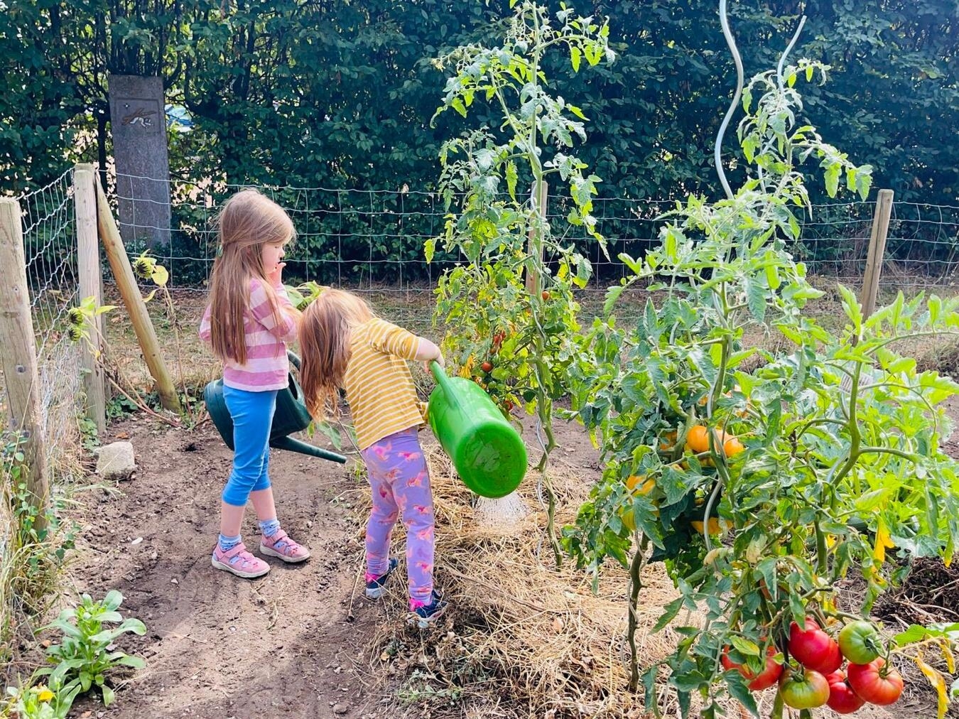 Kinder entdecken die Natur durch Programme des Kneipp-Vereins Gelderland Foto: privat