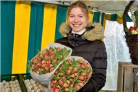 Kleve. Haus Riswick, Kleve, Ostermarkt