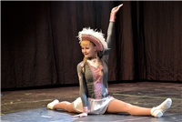 Kleve, Sitzung Schwanenfunker