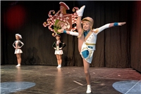 Kleve, Sitzung Schwanenfunker