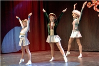 Kleve, Sitzung Schwanenfunker