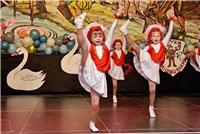 Kleve, Stadthalle, Sitzung Schildbürger