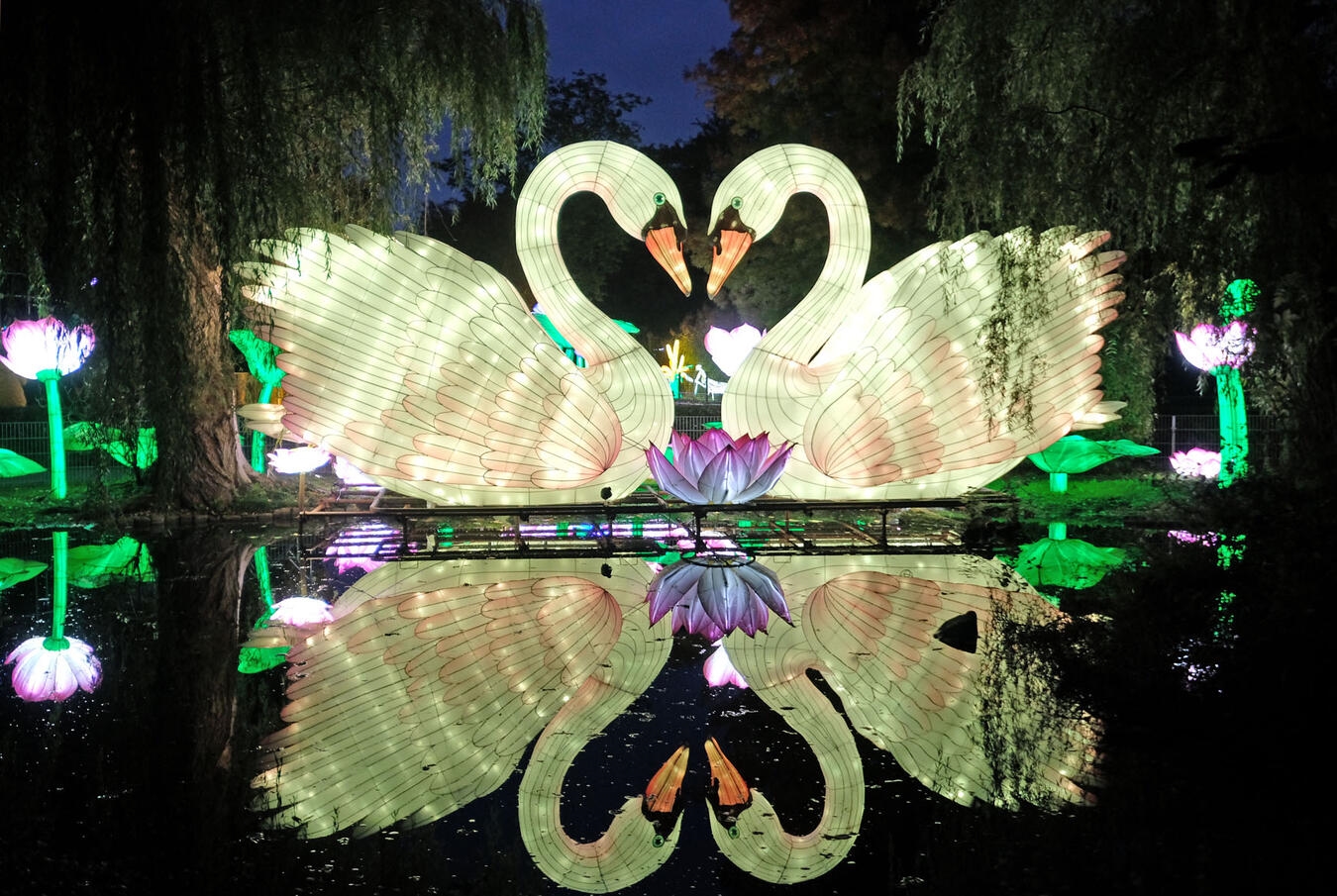 Kleve, Tiergarten„ China Lights