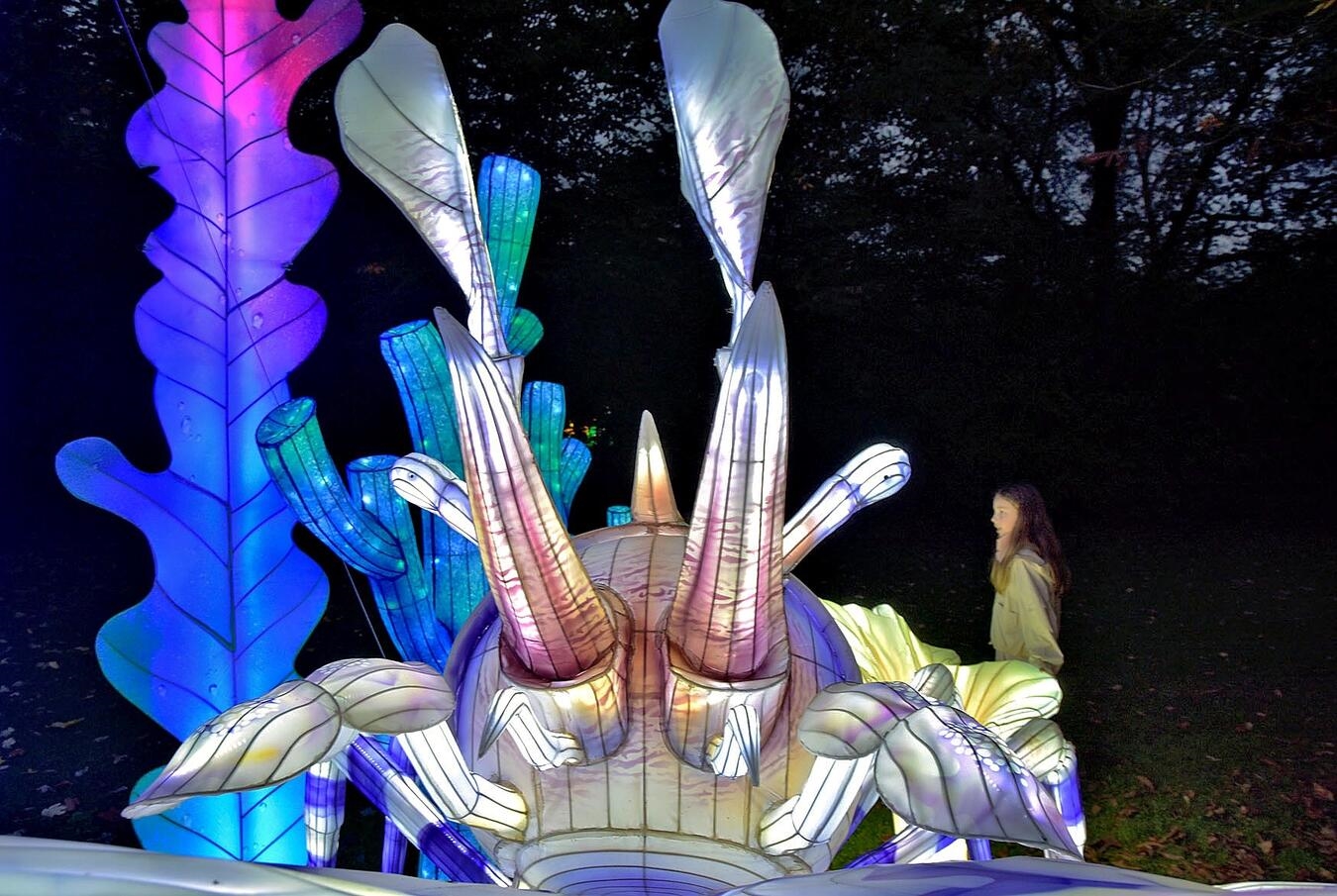 Kleve, Tiergarten„ China Lights