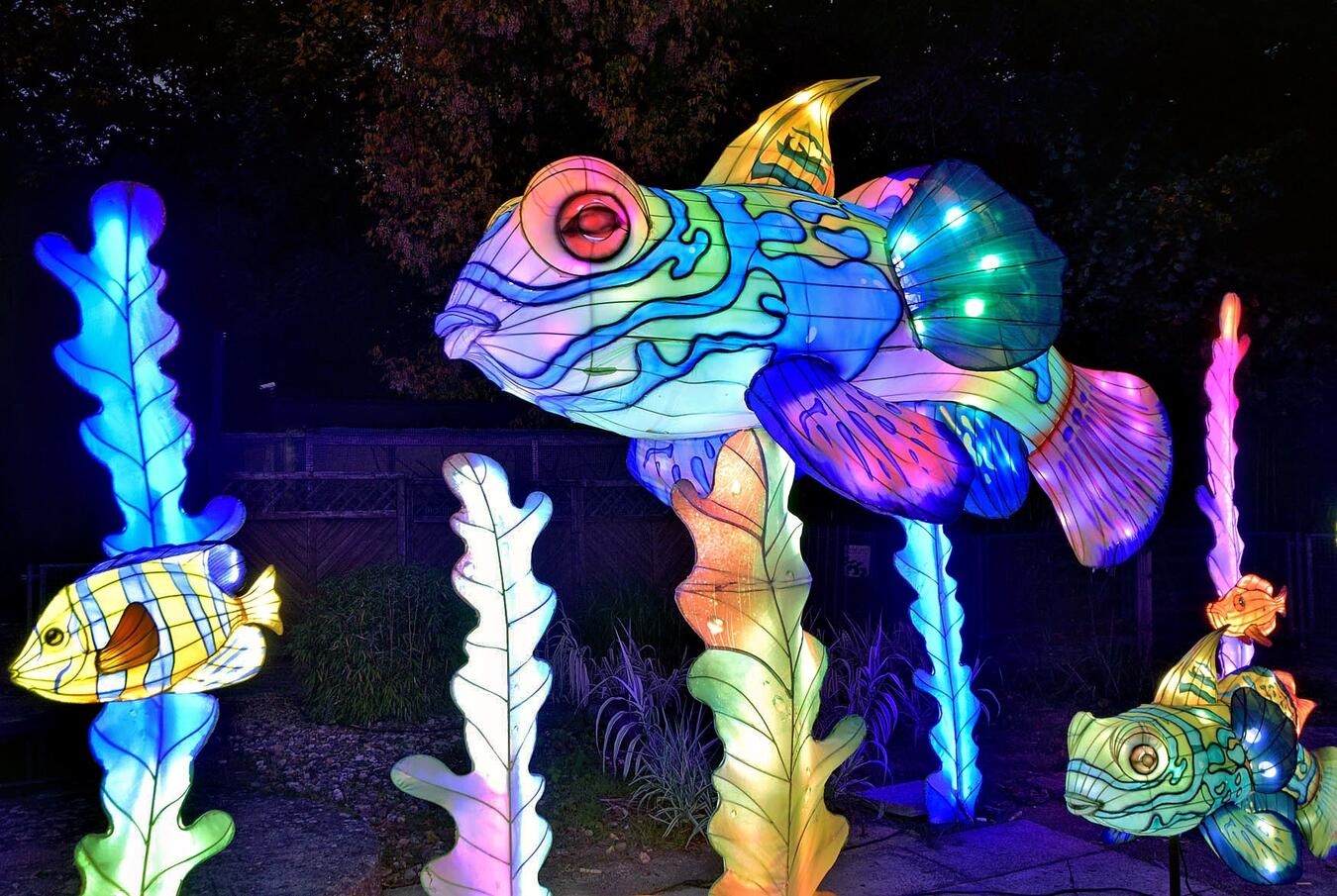 Kleve, Tiergarten„ China Lights