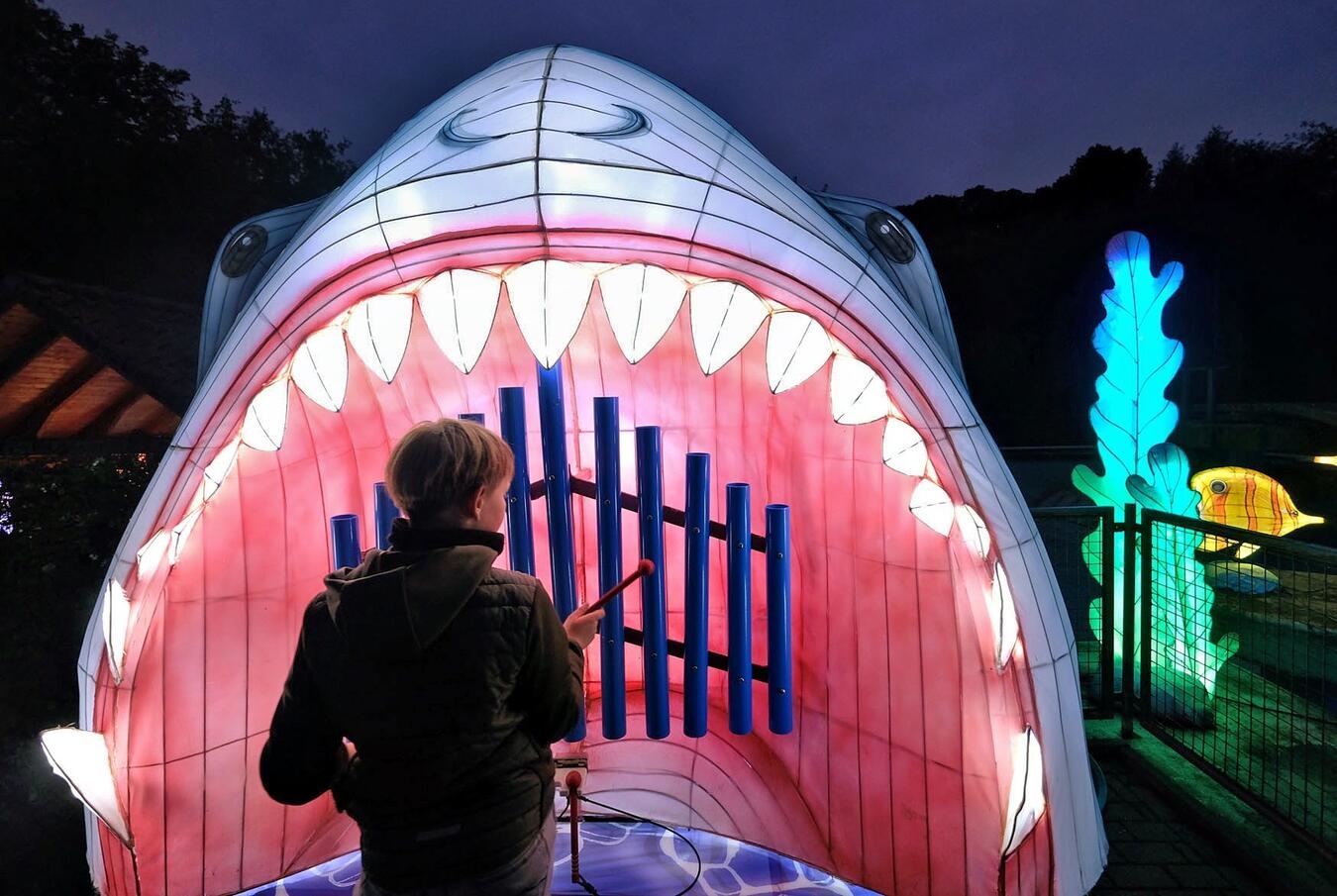 Kleve, Tiergarten„ China Lights