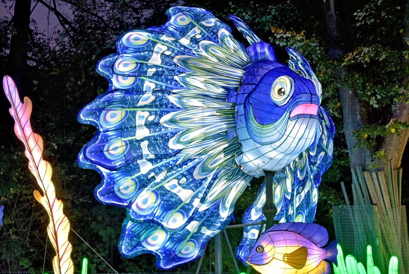 Kleve, Tiergarten„ China Lights