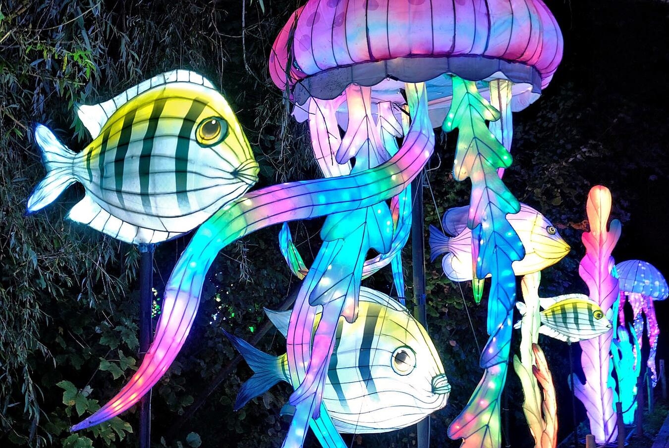 Kleve, Tiergarten„ China Lights