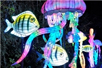 Kleve, Tiergarten„ China Lights