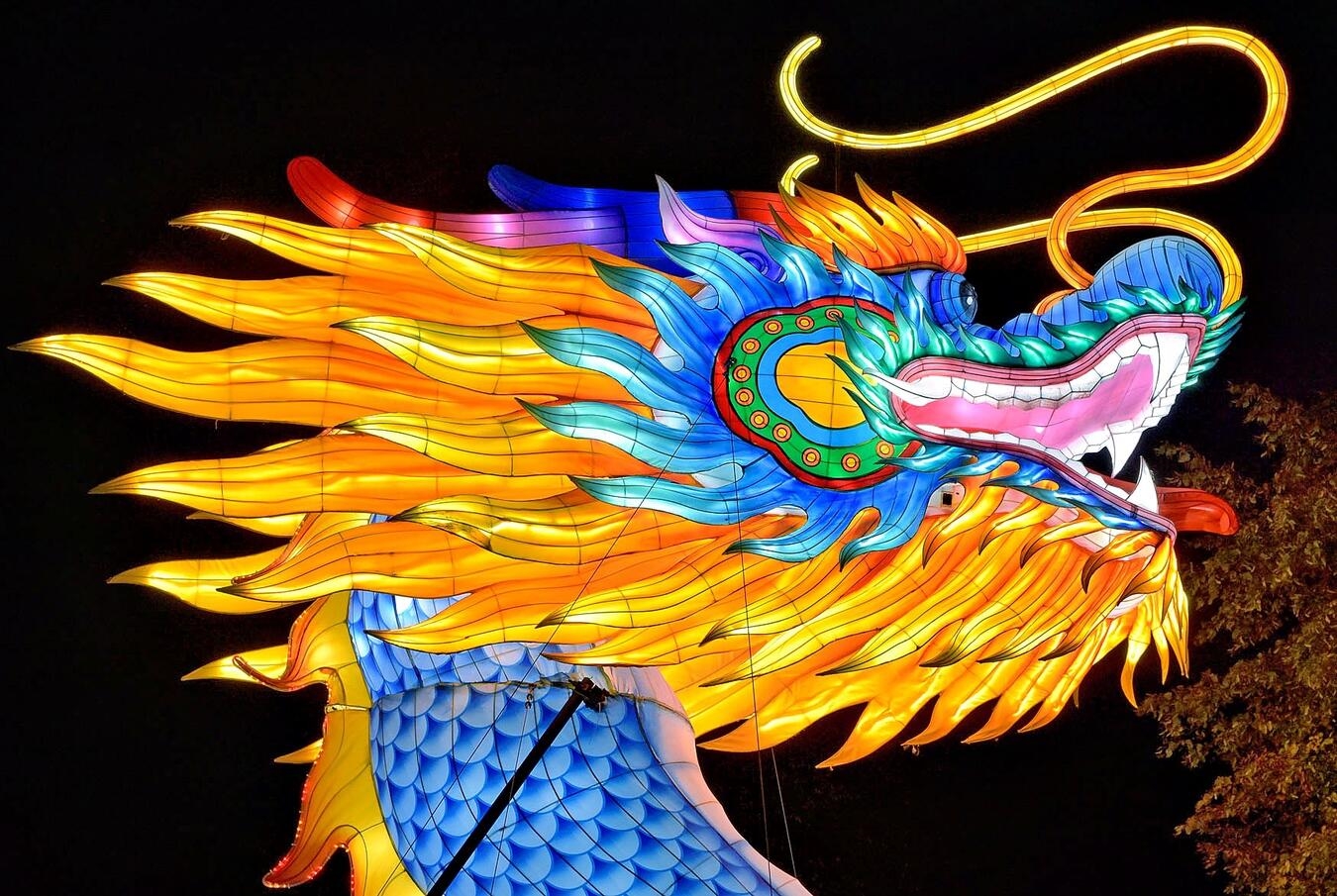 Kleve, Tiergarten„ China Lights