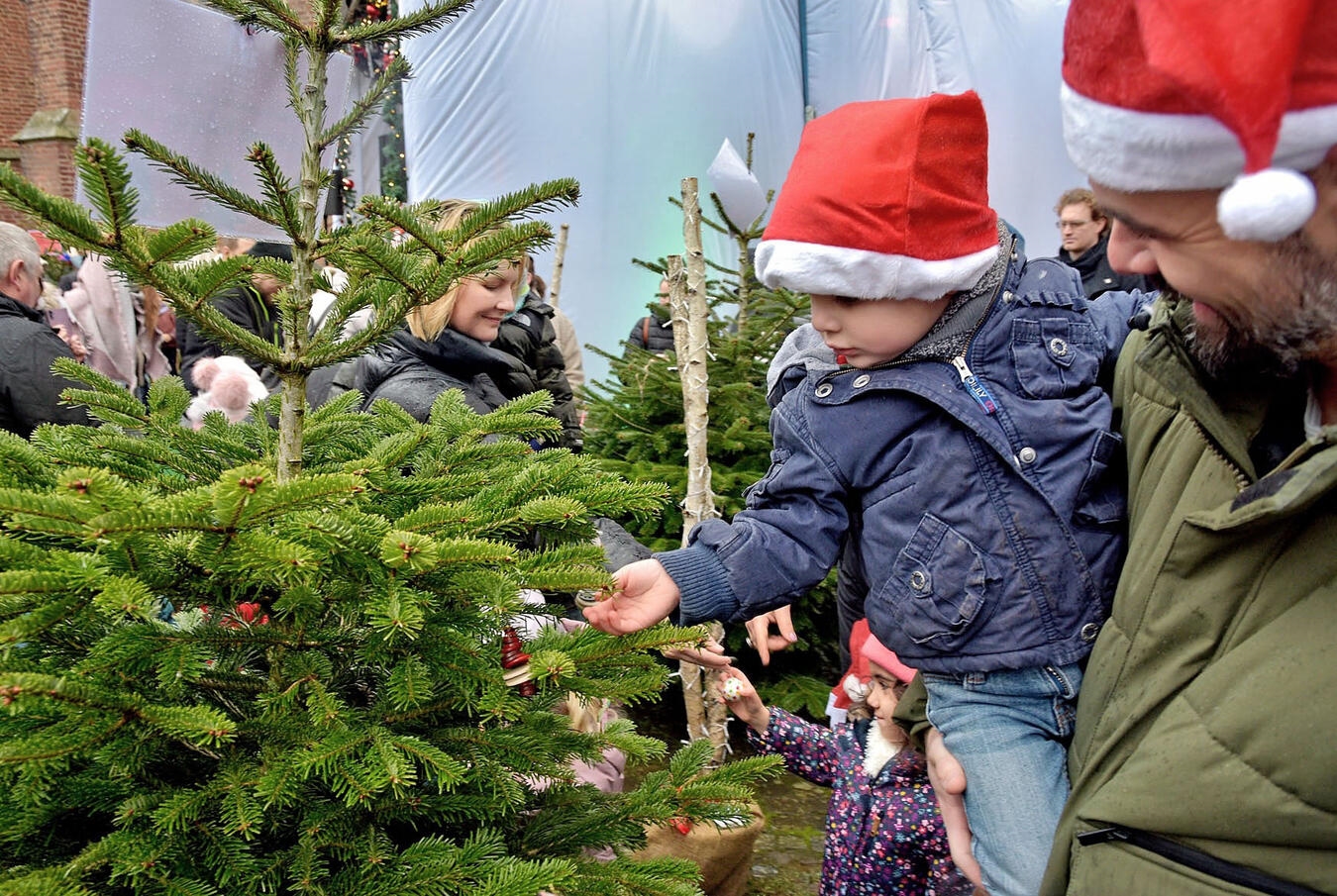 Kranenburg, Nikolausmarkt