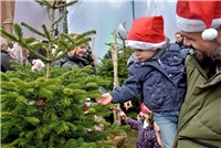 Kranenburg, Nikolausmarkt