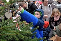 Kranenburg, Nikolausmarkt