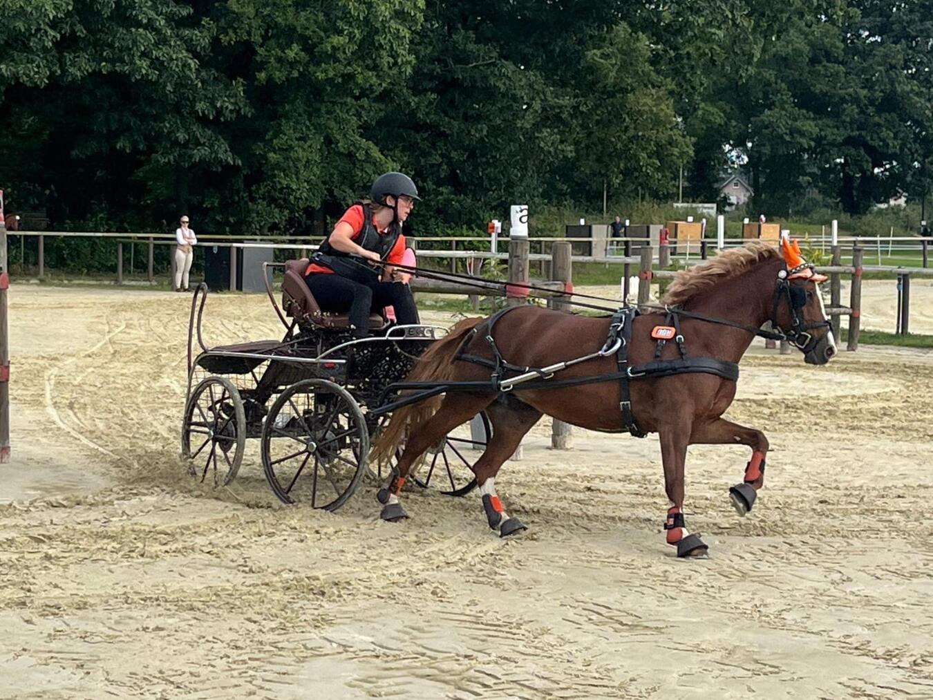 Erste Erfolge
beim Fahrercup WBO Kristina Koch im Gelände. Foto: RuFV Rheurdt