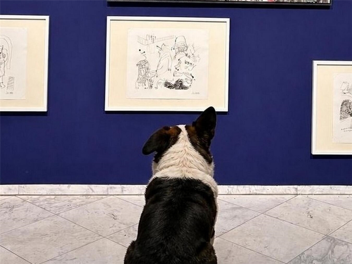 Kunstinteressierte Hunde im Museum Schloss Moyland, Ausstellung Besucher mit Hund. Foto: Stiftung Museum Schloss Moyland/Kim Rettig