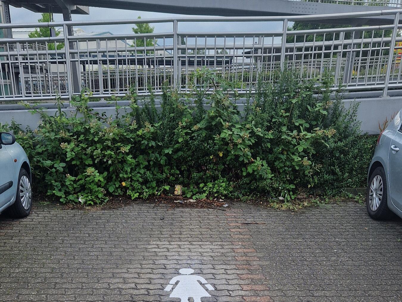 Kurze Wege, gute Beleuchtung, mehr Sicherheit: Seit Juni stehen am Bahnhof vier neue Frauenparkplätze zur Verfügung – initiiert von der Gleichstellungsstelle Christiane Peulen, umgesetzt mit Unterstützung der Stadtwerke und des Betriebshofs. Foto: Stadt Kevelaer