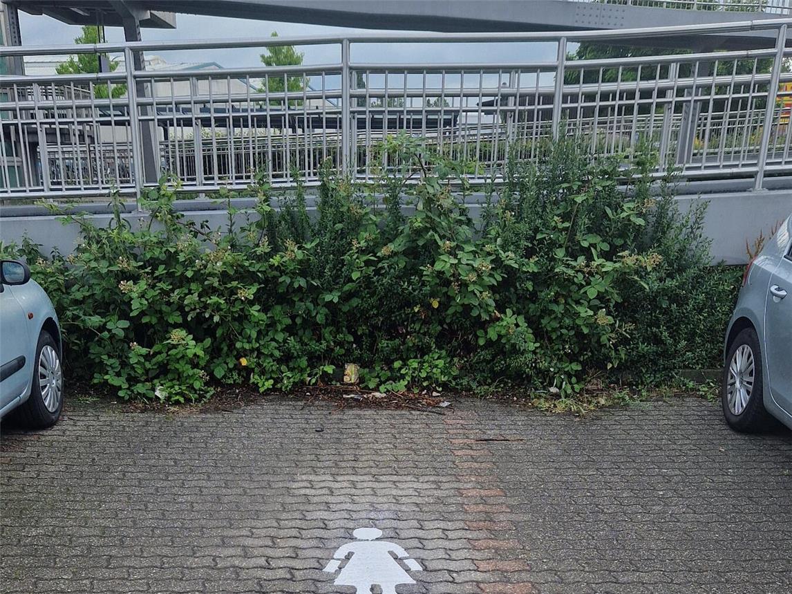 Kurze Wege, gute Beleuchtung, mehr Sicherheit: Seit Juni stehen am Bahnhof vier neue Frauenparkplätze zur Verfügung – initiiert von der Gleichstellungsstelle Christiane Peulen, umgesetzt mit Unterstützung der Stadtwerke und des Betriebshofs. Foto: Stadt Kevelaer