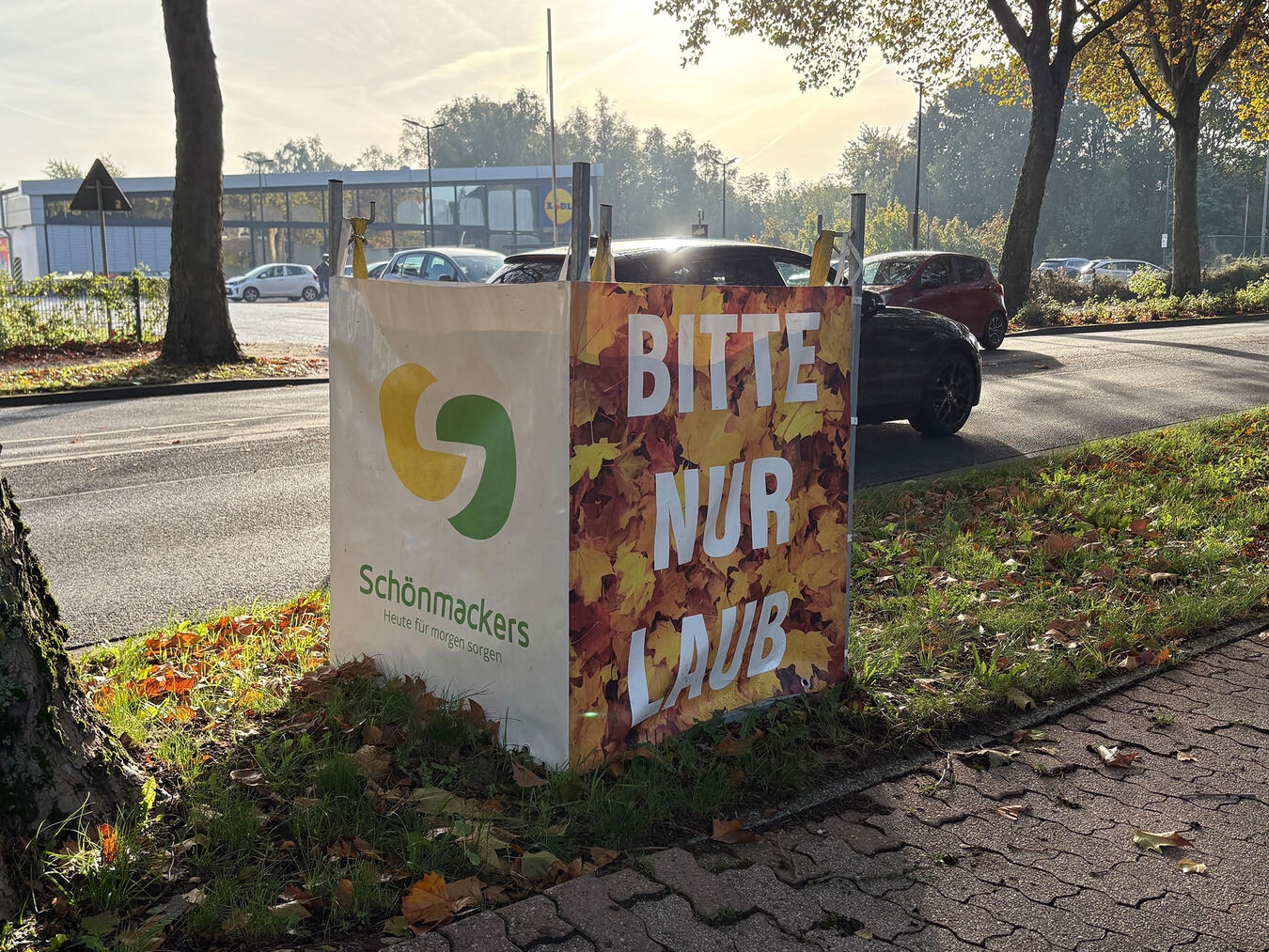 Laubcontainer auf Bürgersteig der Klever Straße im Herbst, Foto von Torsten Matenaers.