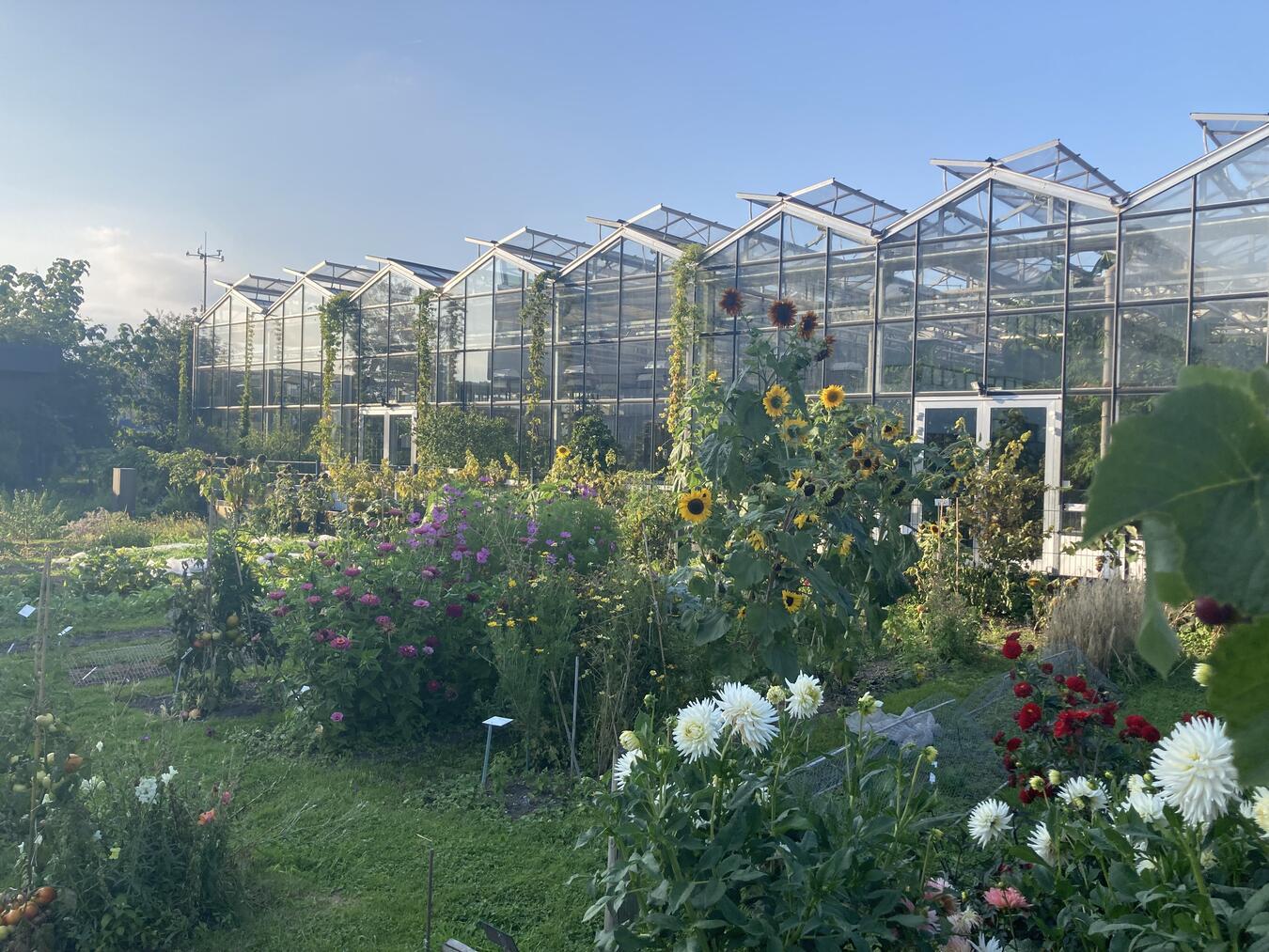 Man kann sich das Gewächshaus mit zahlreichen exotischen Pflanzen sowie die Lehr- und Schaugärten im Außenbereich anschauen. Foto: WTM