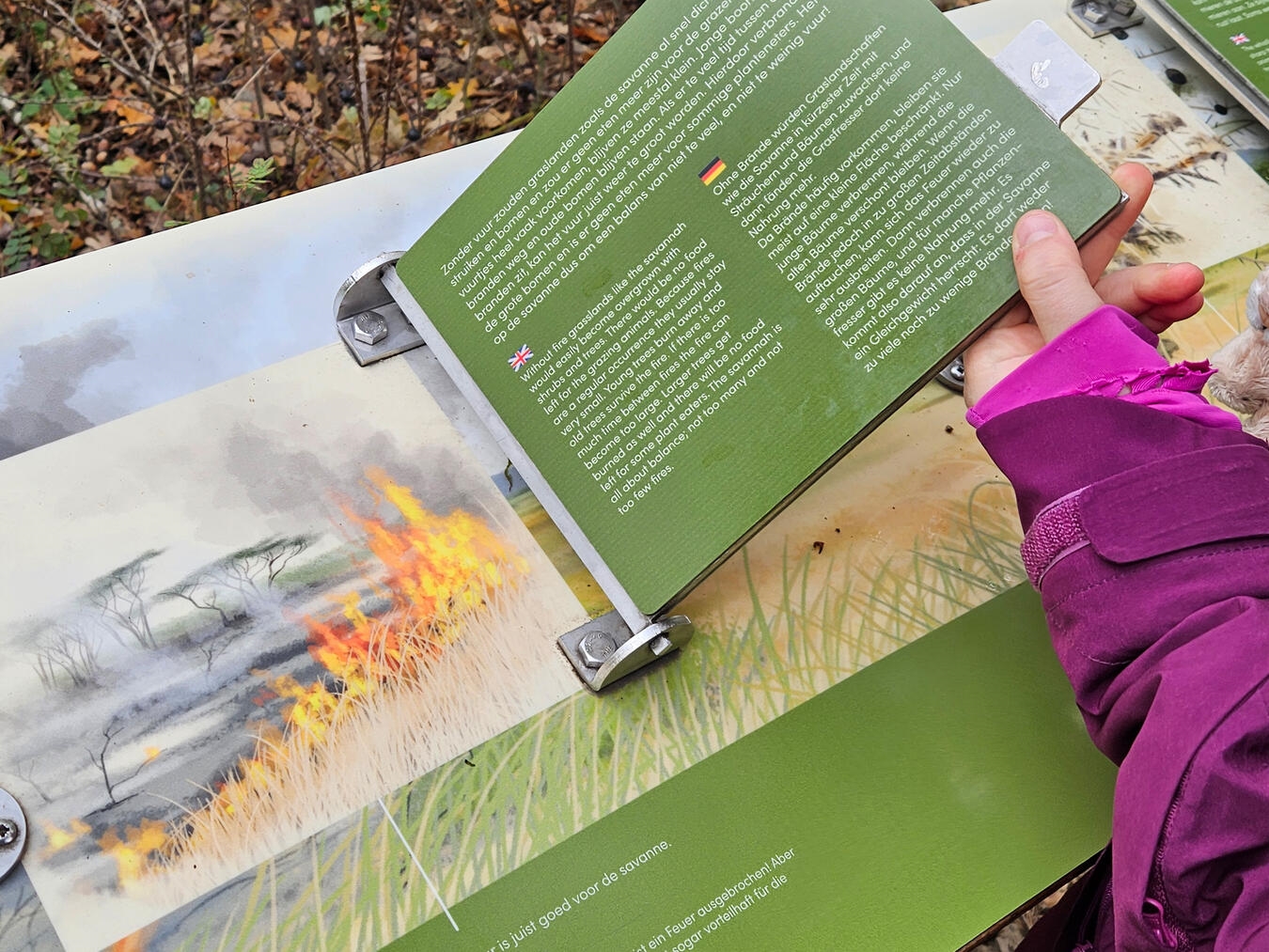 Man lernt beim Rundgang auch einiges. Die Erklärungen gibt es auch in Englisch und Deutsch. NN-Foto: vs