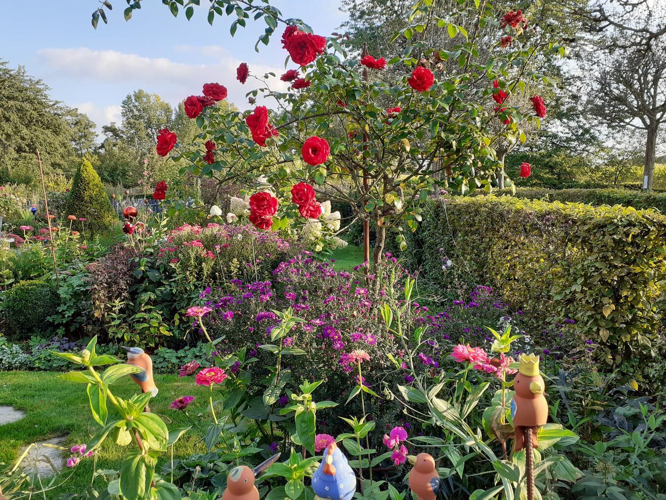 Manuela Schoofs öffnet am 30. Juni ihren Garten für interessierte Besucher. Foto: privat