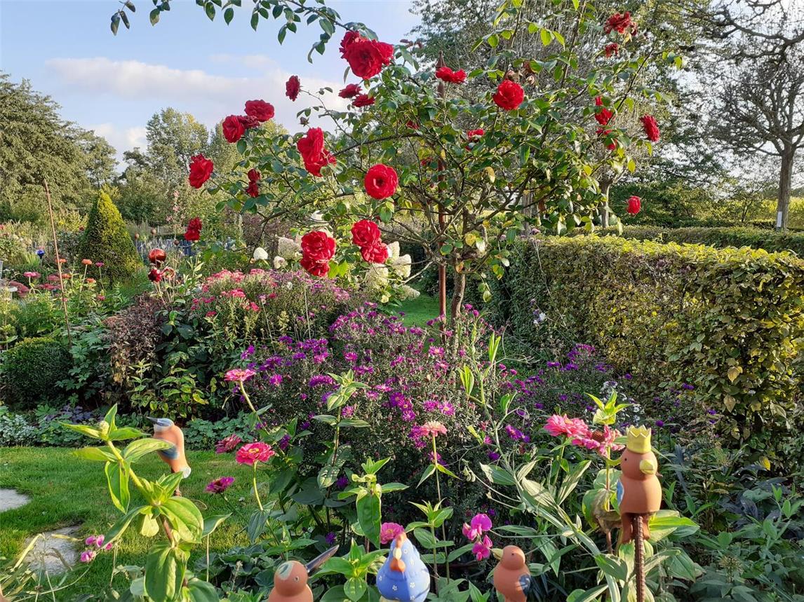Manuela Schoofs öffnet am 30. Juni ihren Garten für interessierte Besucher. Foto: privat