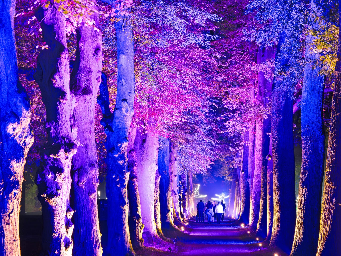Herbstliche Poesie aus Licht in den Schlossgärten Arcen Mehrere Künstler sind seit Monaten mit den Vorbereitungen für das Lichtkunstfestival beschäftigt. Foto: Schlossgärten Arcen