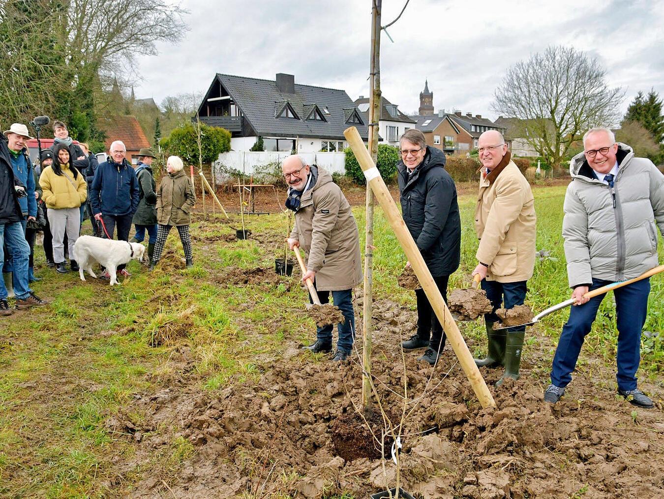 Vom Reißbrett auf den Acker Mit dem ersten Spatenstich gaben (v.l.) Bürgermeister Wolfgang Gebing, Christian Bomblat, Technischer Beigeordneter, Karl Werring, Präsident der Landwirtschaftskammer und Peter Kisters, Vizepräsident für Forschung, Innovation und Wissenstransfer der HSRW den Startschuss für die Pflanzung. NN-Foto: Rüdiger Dehnen