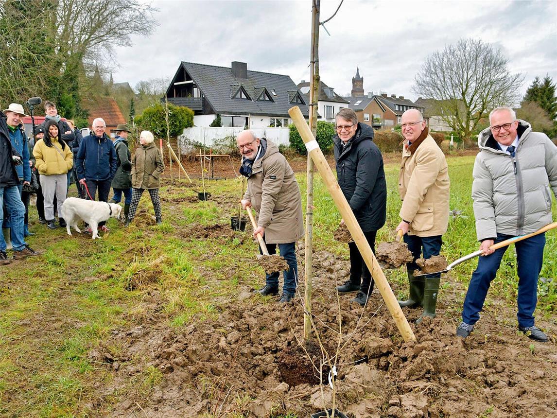 Mit dem ersten Spatenstich gaben (v.l.) Bürgermeister Wolfgang Gebing, Christian Bomblat, Technischer Beigeordneter, Karl Werring, Präsident der Landwirtschaftskammer und Peter Kisters, Vizepräsident für Forschung, Innovation und Wissenstransfer der HSRW den Startschuss für die Pflanzung. NN-Foto: Rüdiger Dehnen