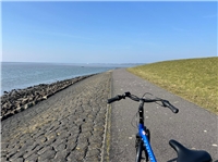 Mit dem Rad lässt sich die Insel erkunden.