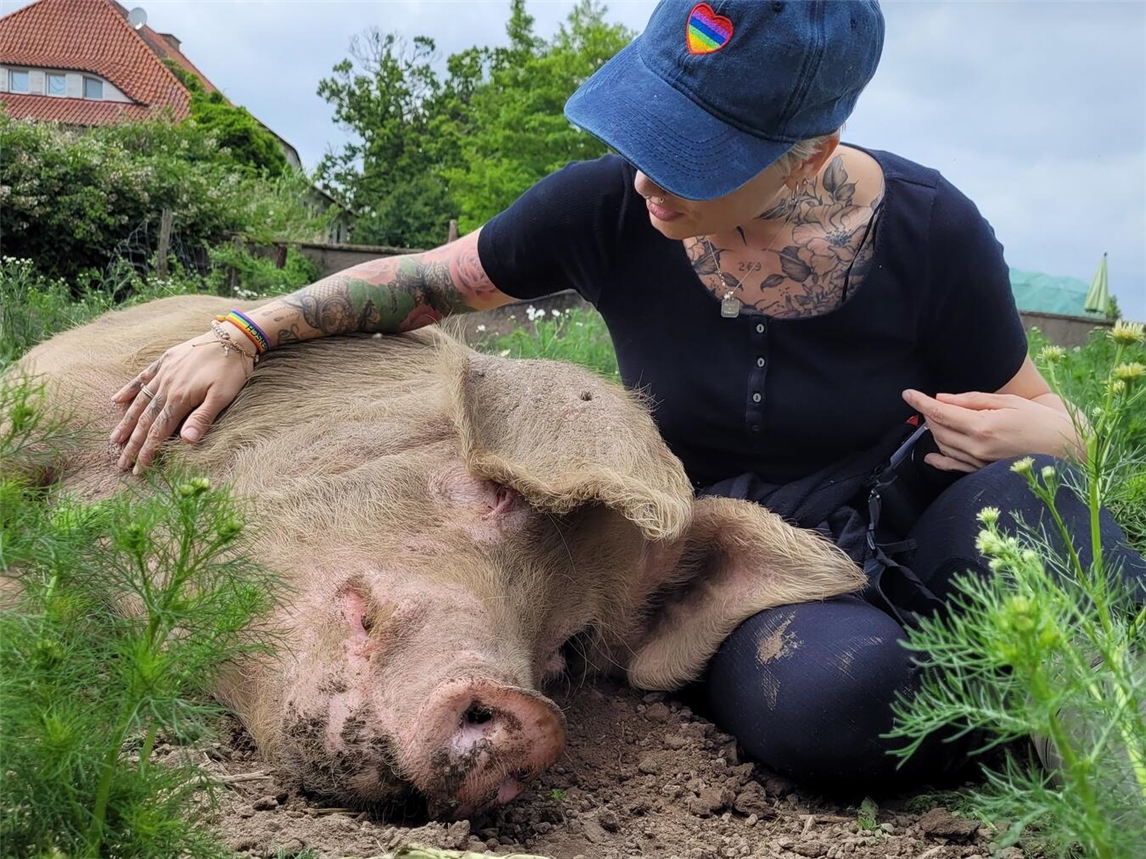 "Sommerfest VidaHof: Menschen genießen Natur, Tiere und Gemeinschaft"