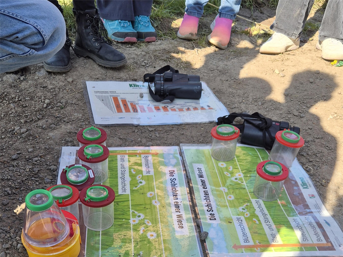 Grundschulkinder erforschen Wiesenboden bei Exkursion, Hüthum und Elten, Naturpädagogik, Nabu.