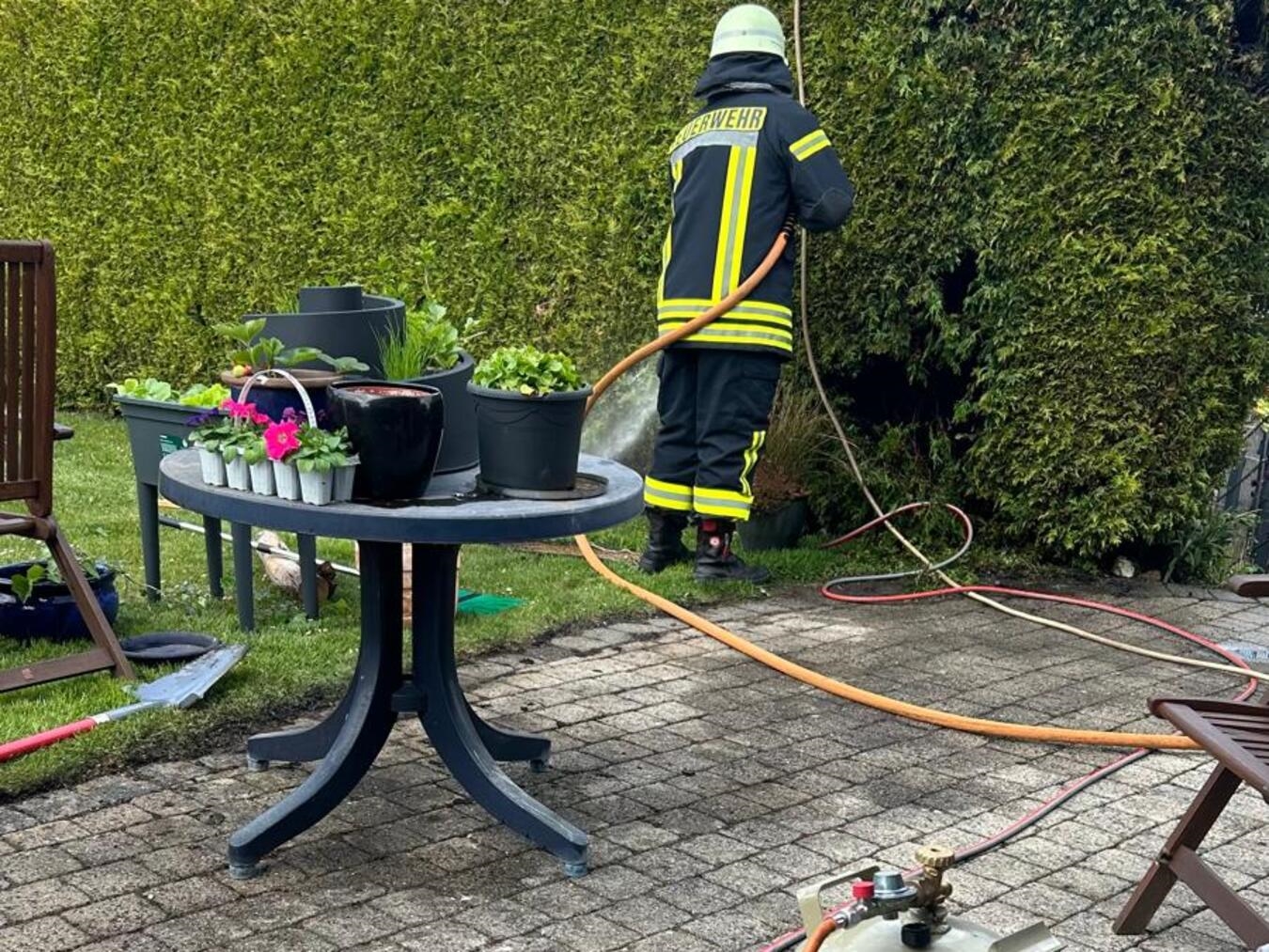 Mit diesem Gasbrenner wurde versehentlich auch ein Stück Thuja-Hecke abgeflämmt. Foto: Stefan Bömler